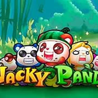 Visuel de la machine Wacky Panda